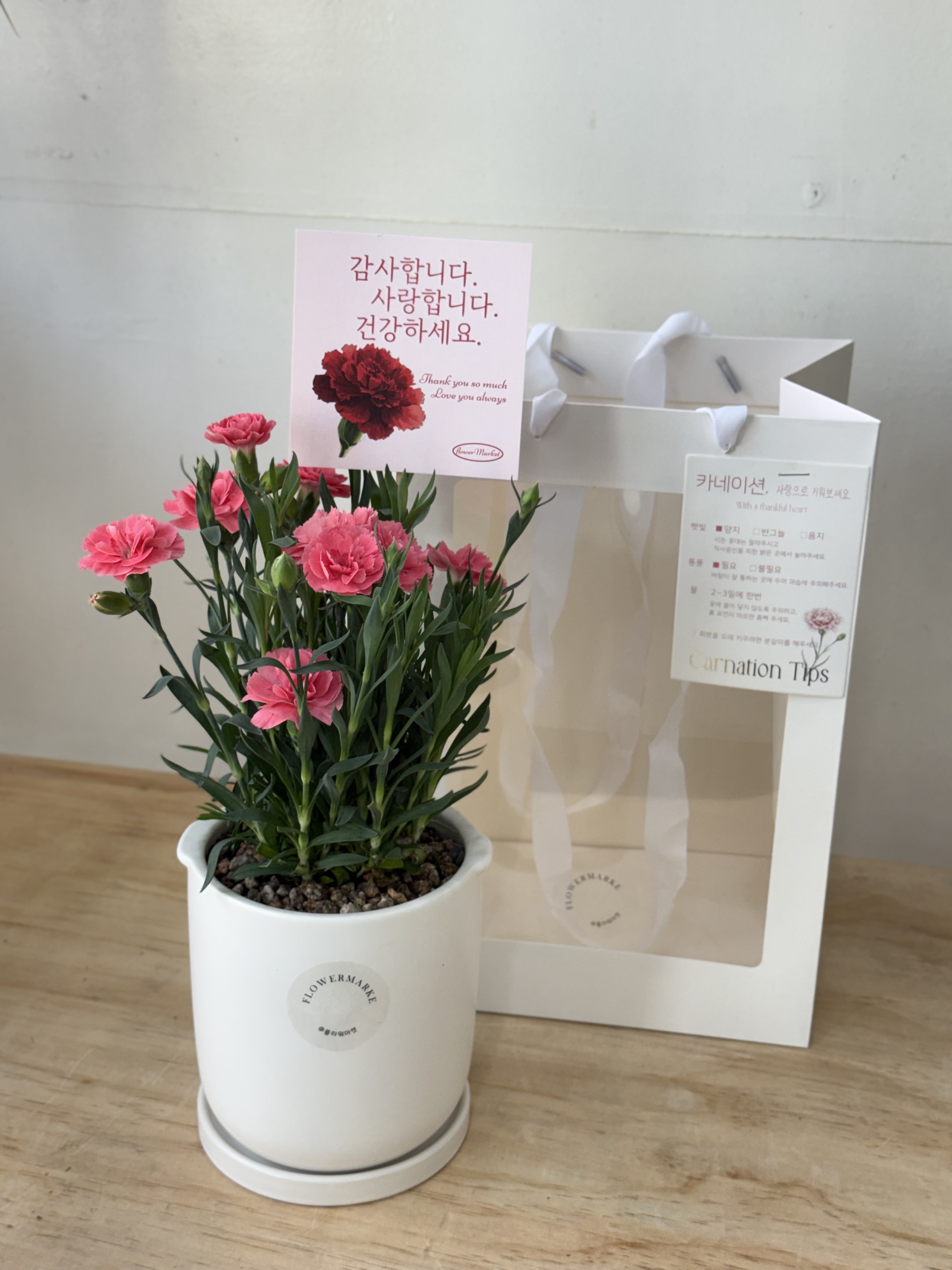 향카네이션 세라믹화분 핑크